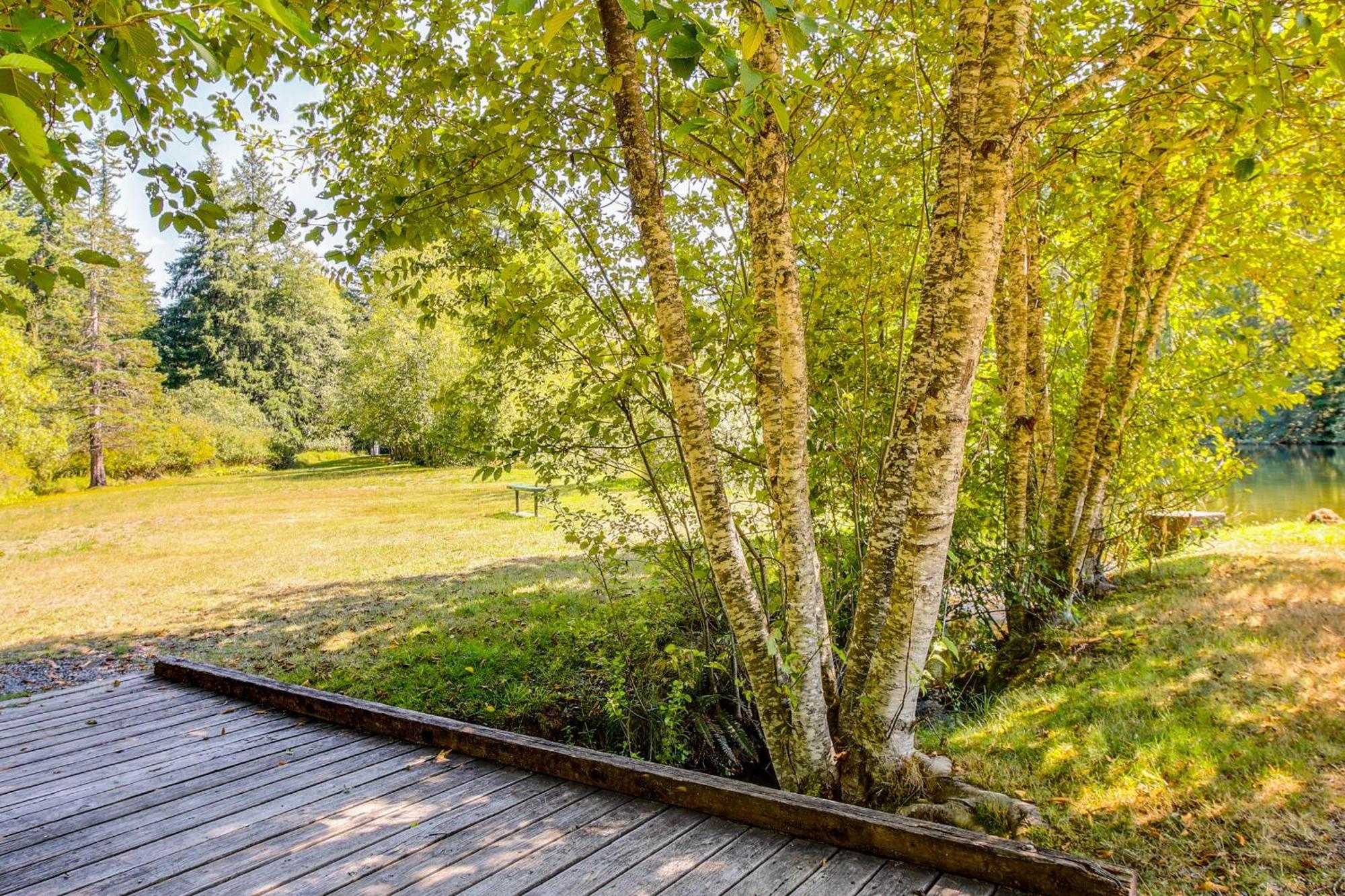 Quaint Ashford Studio Stay 5 Mi To Mt Rainier! Ngoại thất bức ảnh
